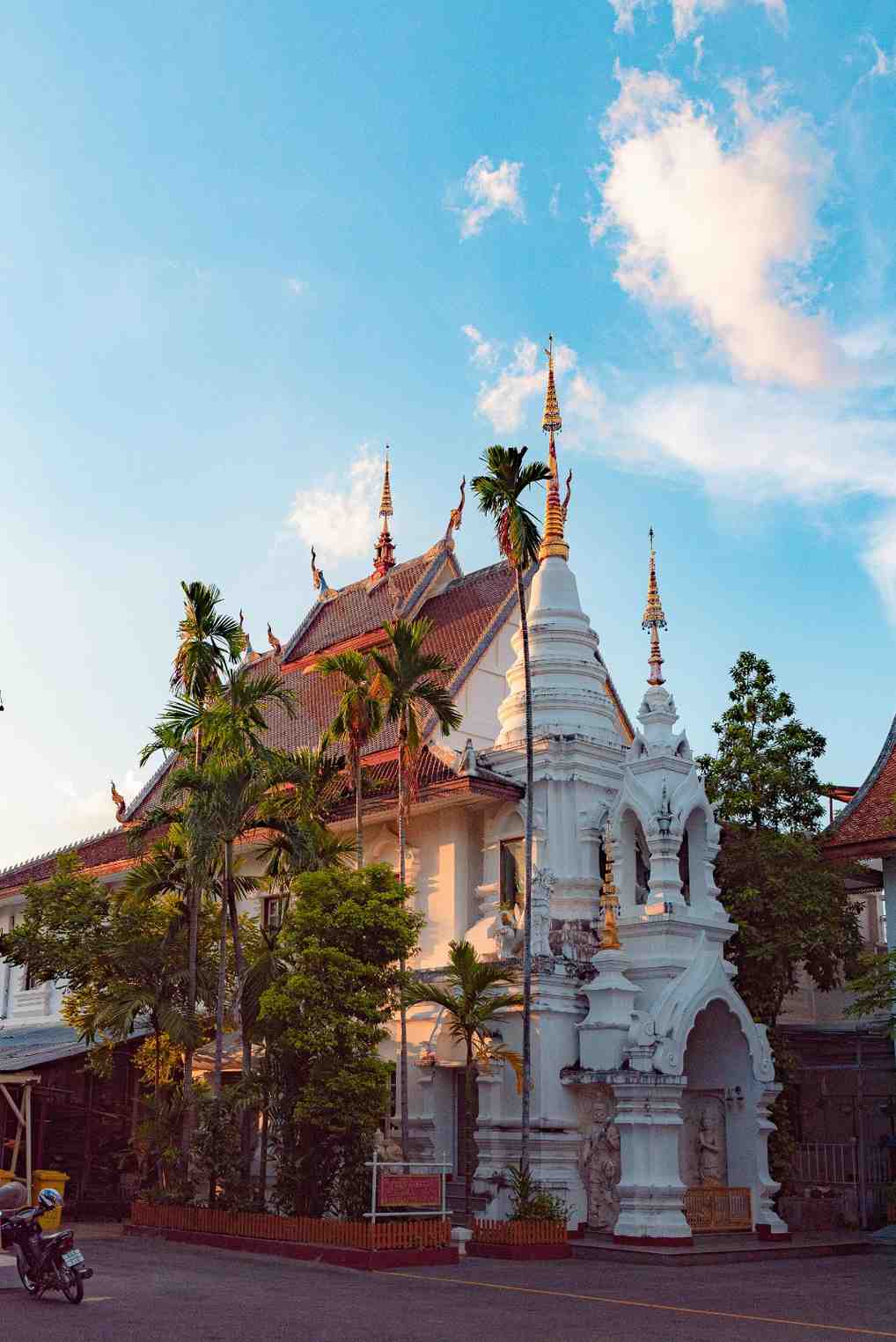 White and gold Buddhist temple among palm trees, Sri Lanka