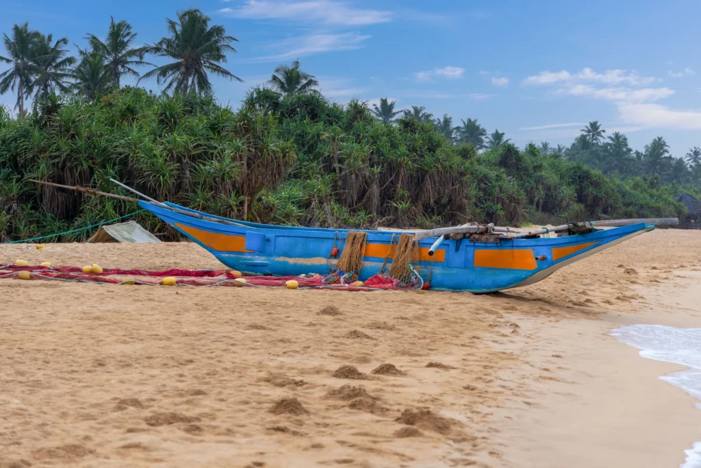 Blue outrigger fishing boat on Bentota beach beneath coconut palms