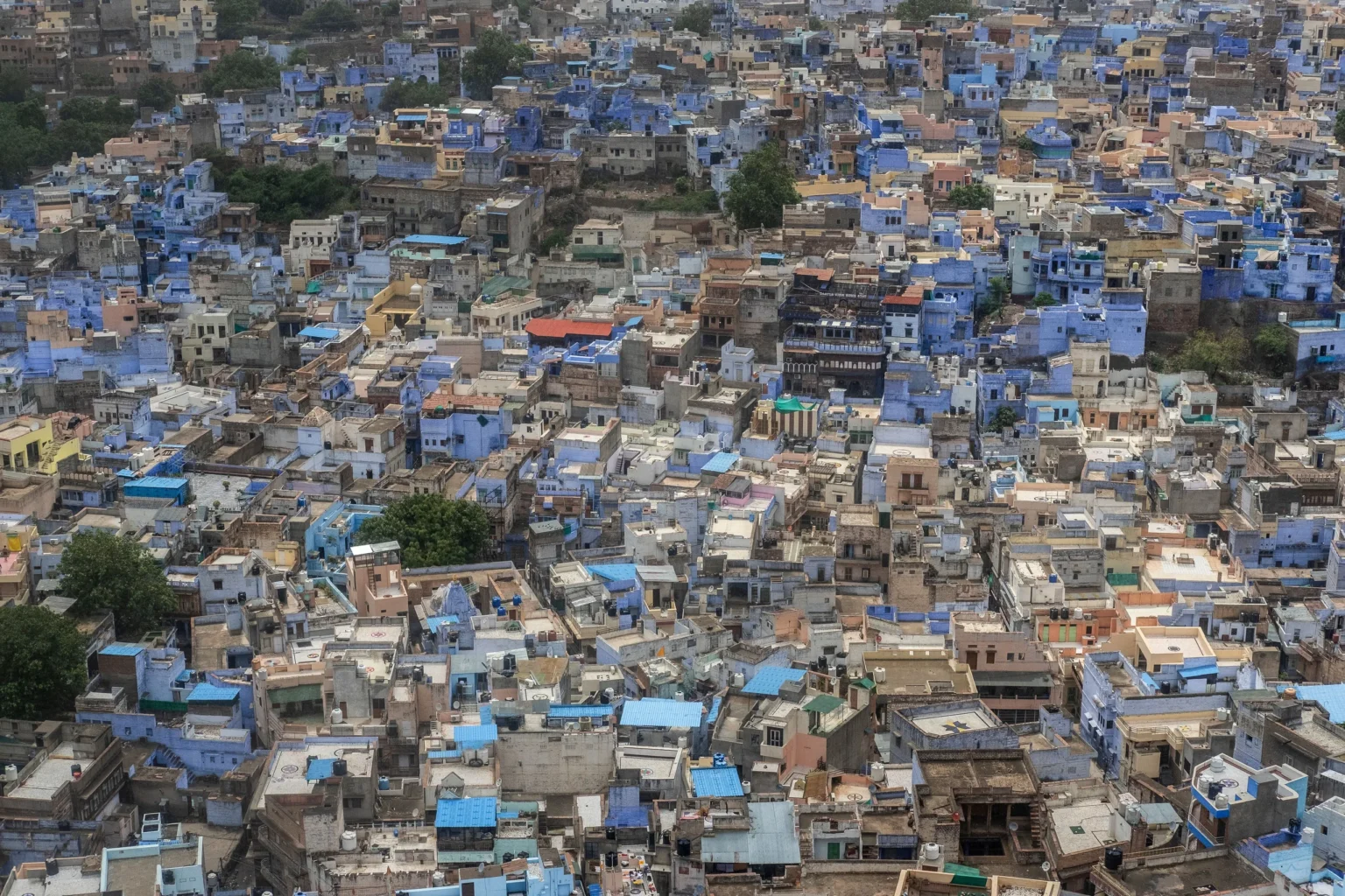 Densely packed blue houses of old Jodhpur seen from above