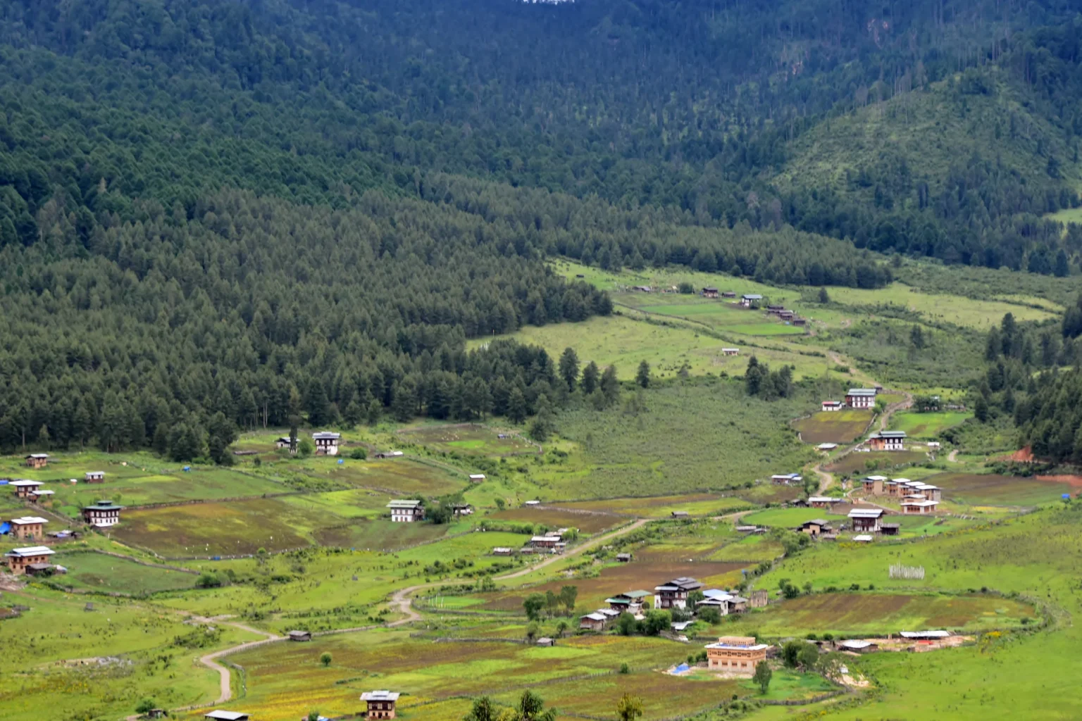 Farms and forest in the Phobjikha valley