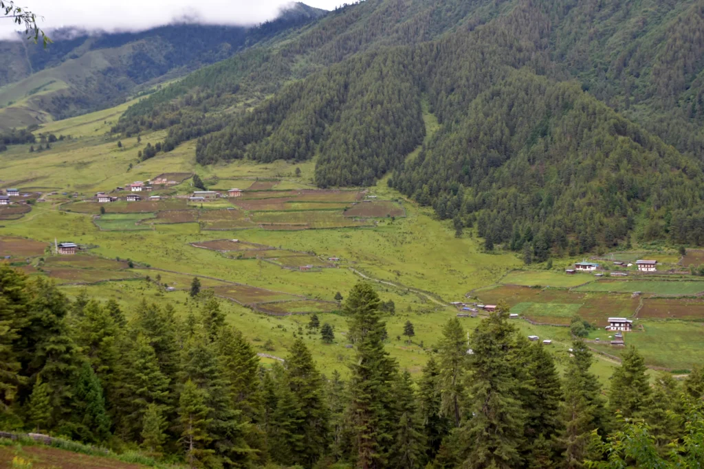 The glacial Phobjikha valley in summer