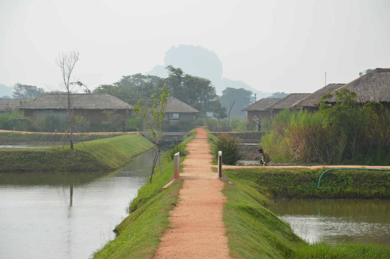Path between the Sigiriya water gardens with the rock in haze