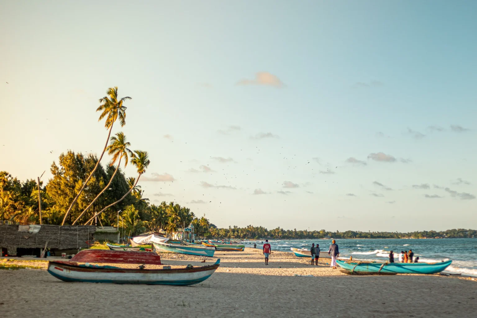 Fishing boats and palms on Trincomalee beach in evening light