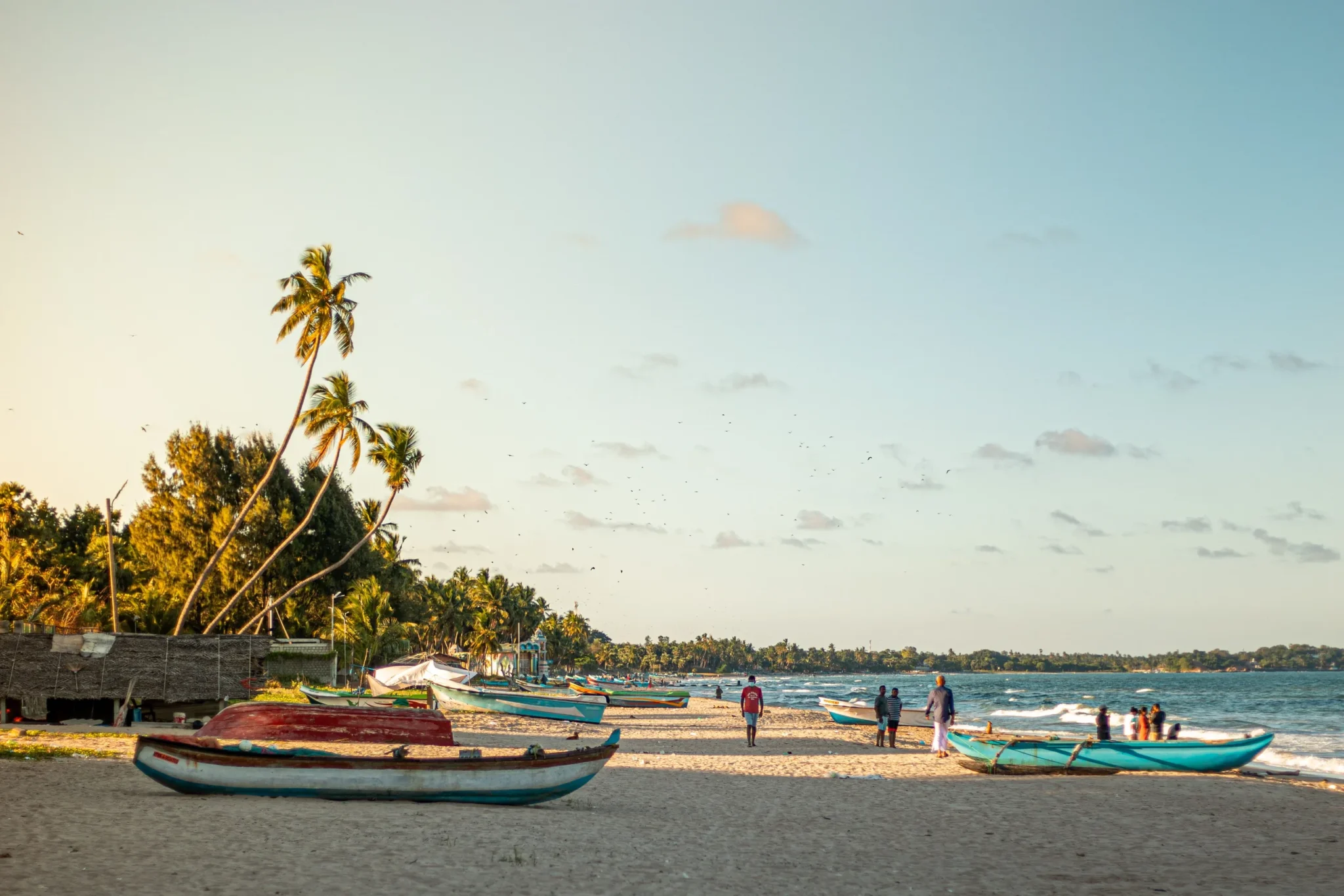 Fishing boats and palms on Trincomalee beach in evening light